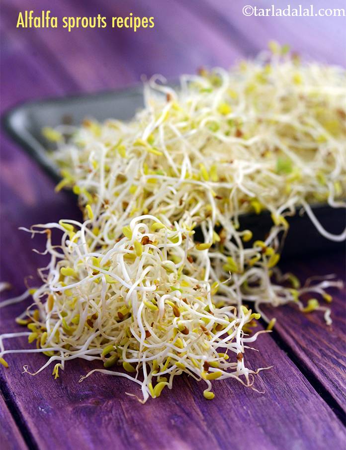 alfalfa-sprouts-recipes-in-hindi